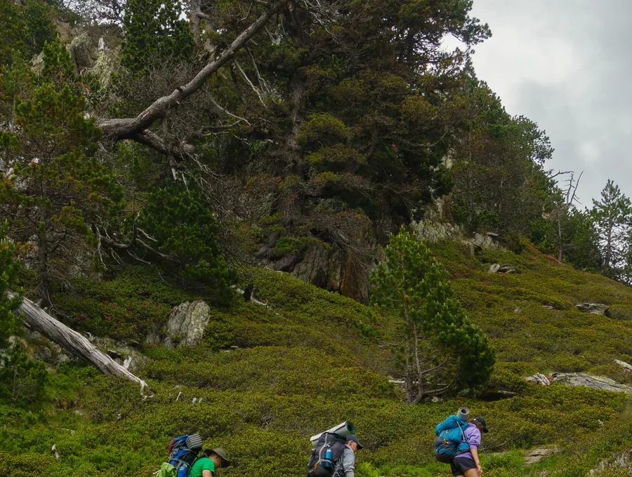 Outdoor hiking experience