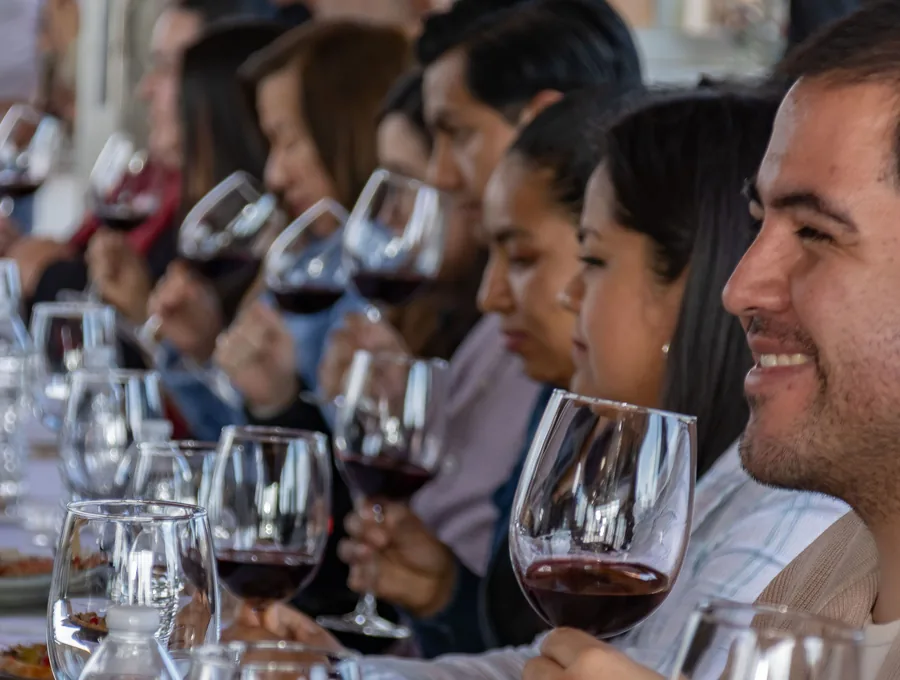Local tasting experience